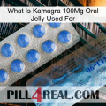 What Is Kamagra 100Mg Oral Jelly Used For 40